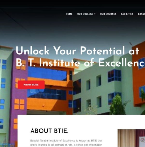 Website designing (5)